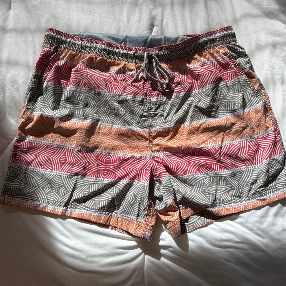 Speedo Men’s Multicolor Striped Athletic Shorts